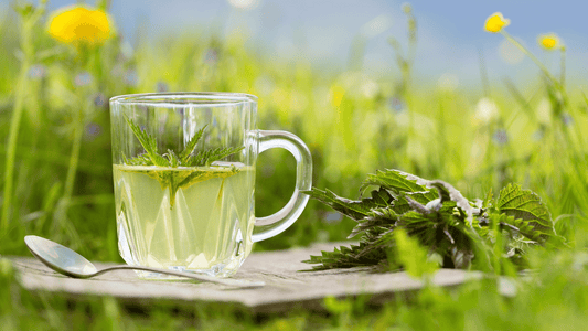 What type of tea should I drink in Spring when I am trying to get my body back into shape?